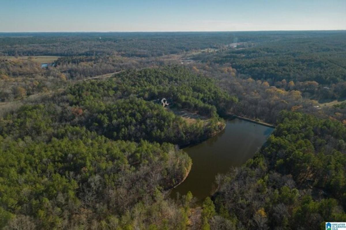 Picture of Residential Land For Sale in Columbiana, Alabama, United States