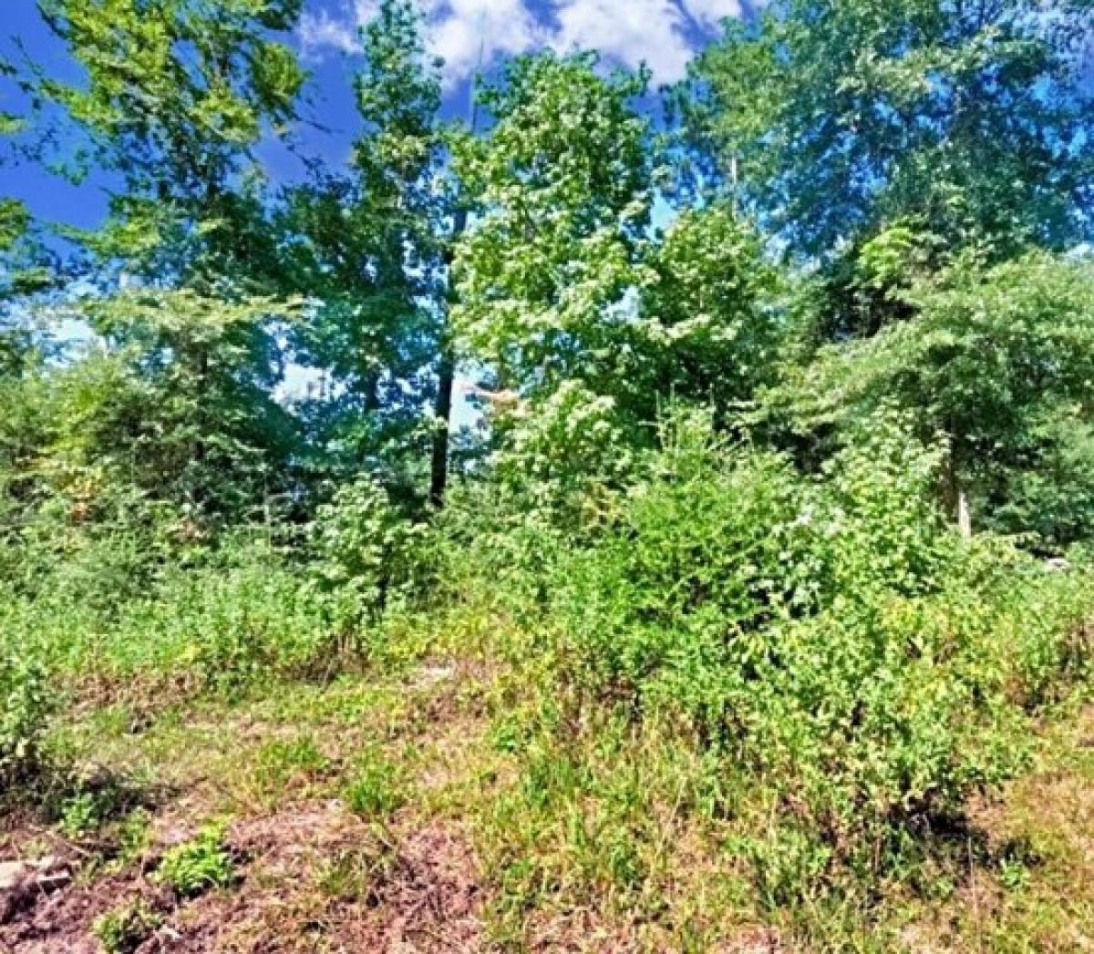 Picture of Residential Land For Sale in Lufkin, Texas, United States