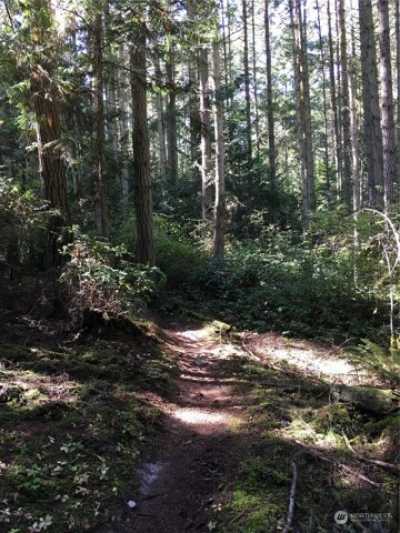 Residential Land For Sale in Port Townsend, Washington