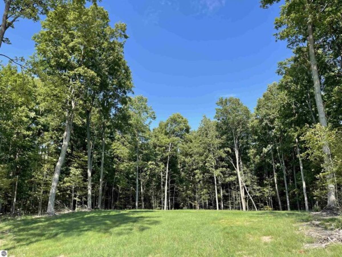 Picture of Residential Land For Sale in Kingsley, Michigan, United States