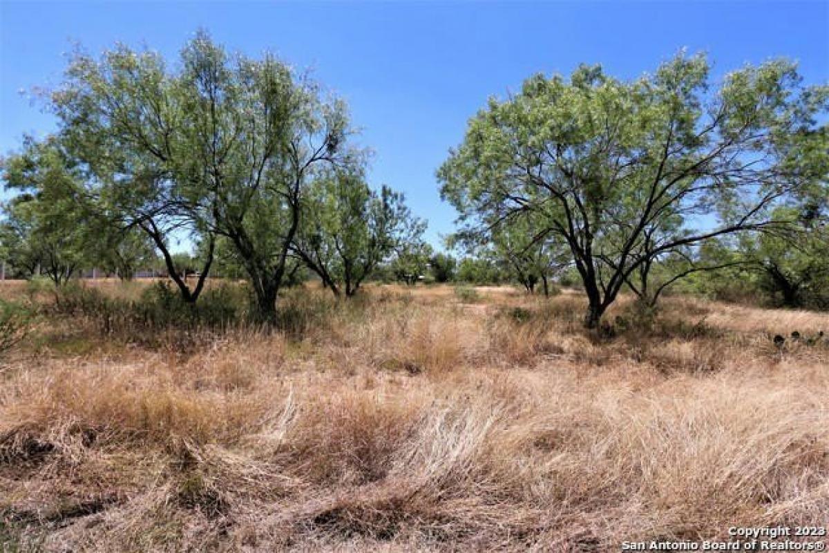 Picture of Residential Land For Sale in Devine, Texas, United States