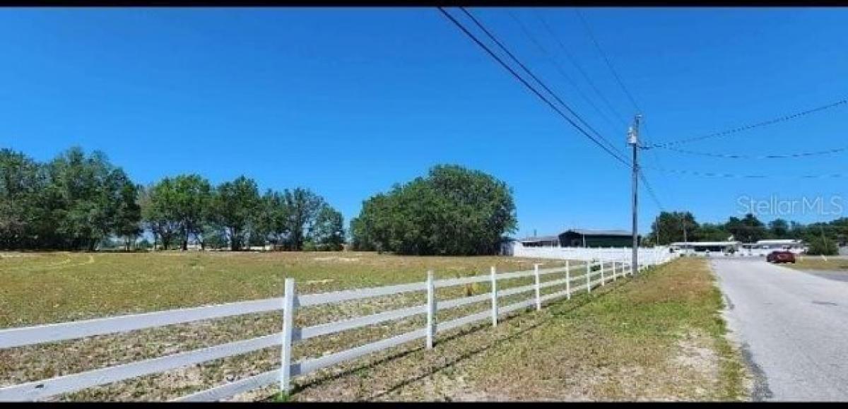 Picture of Home For Rent in Summerfield, Florida, United States