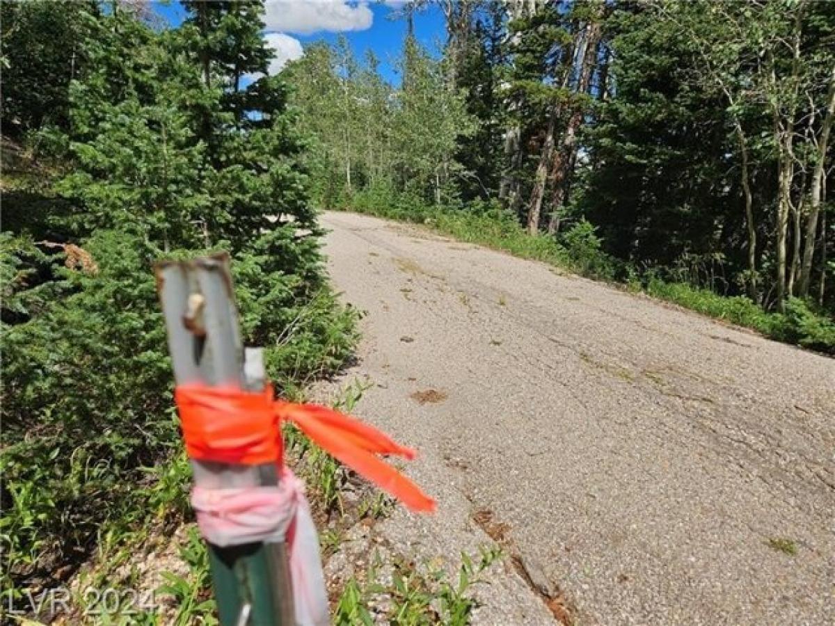 Picture of Residential Land For Sale in Brian Head, Utah, United States