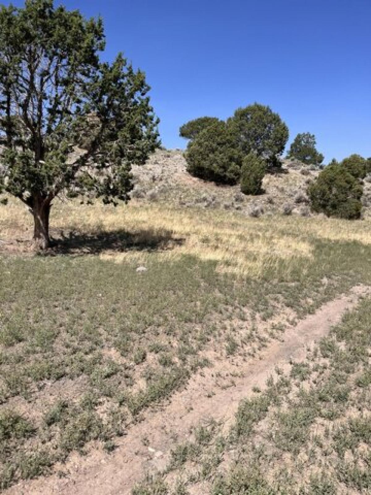 Picture of Residential Land For Sale in Beaver, Utah, United States