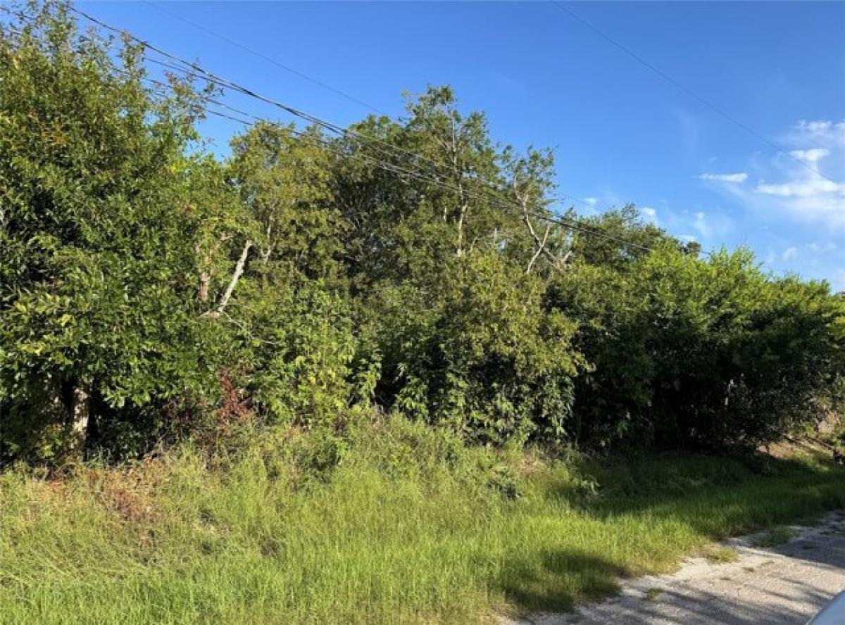 Picture of Residential Land For Sale in San Leon, Texas, United States