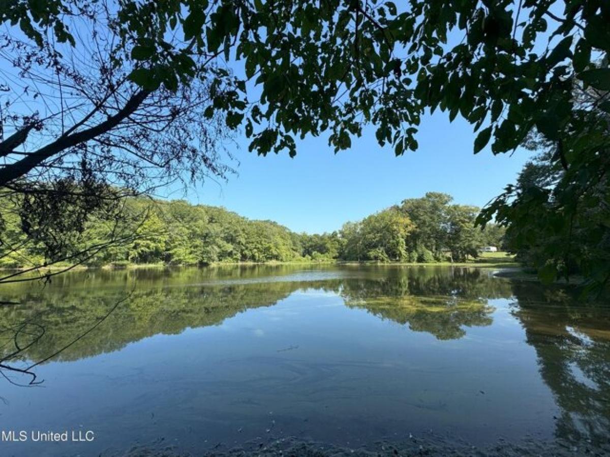 Picture of Residential Land For Sale in Vicksburg, Mississippi, United States