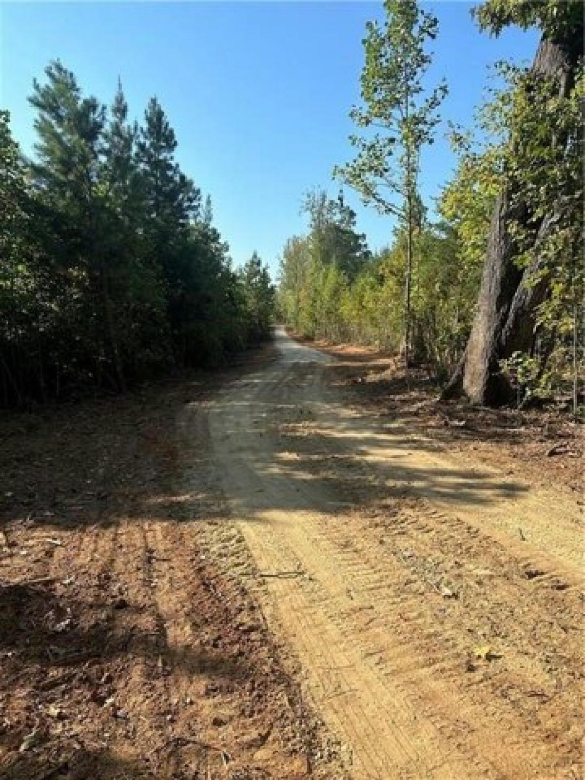 Picture of Residential Land For Sale in Yanceyville, North Carolina, United States