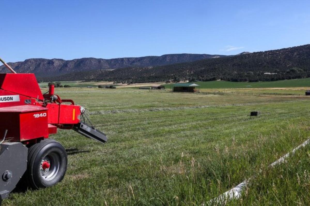 Picture of Residential Land For Sale in Montrose, Colorado, United States