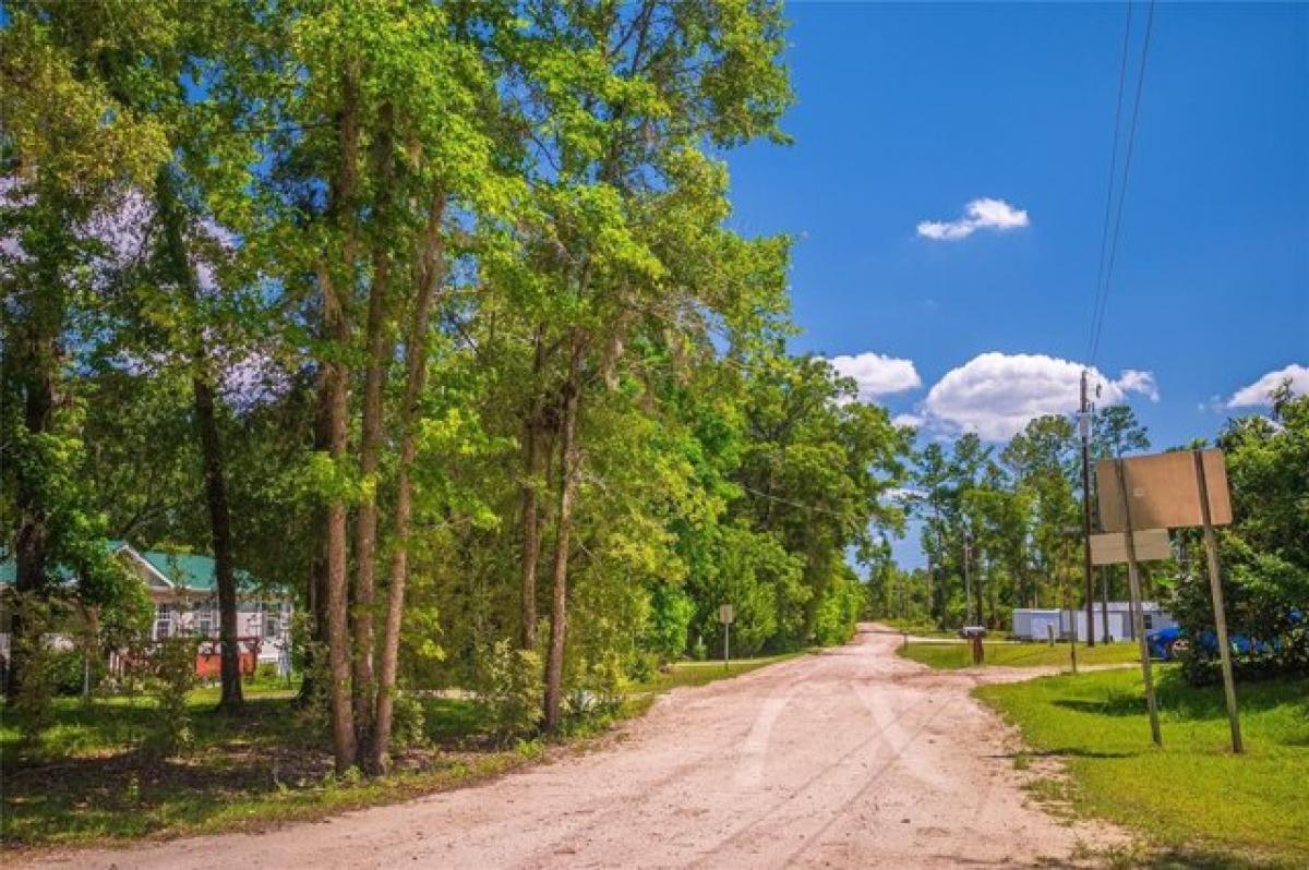 Picture of Residential Land For Sale in Live Oak, Florida, United States