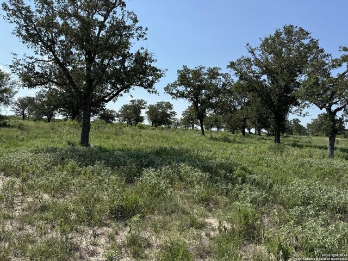 Picture of Residential Land For Sale in Gillett, Texas, United States