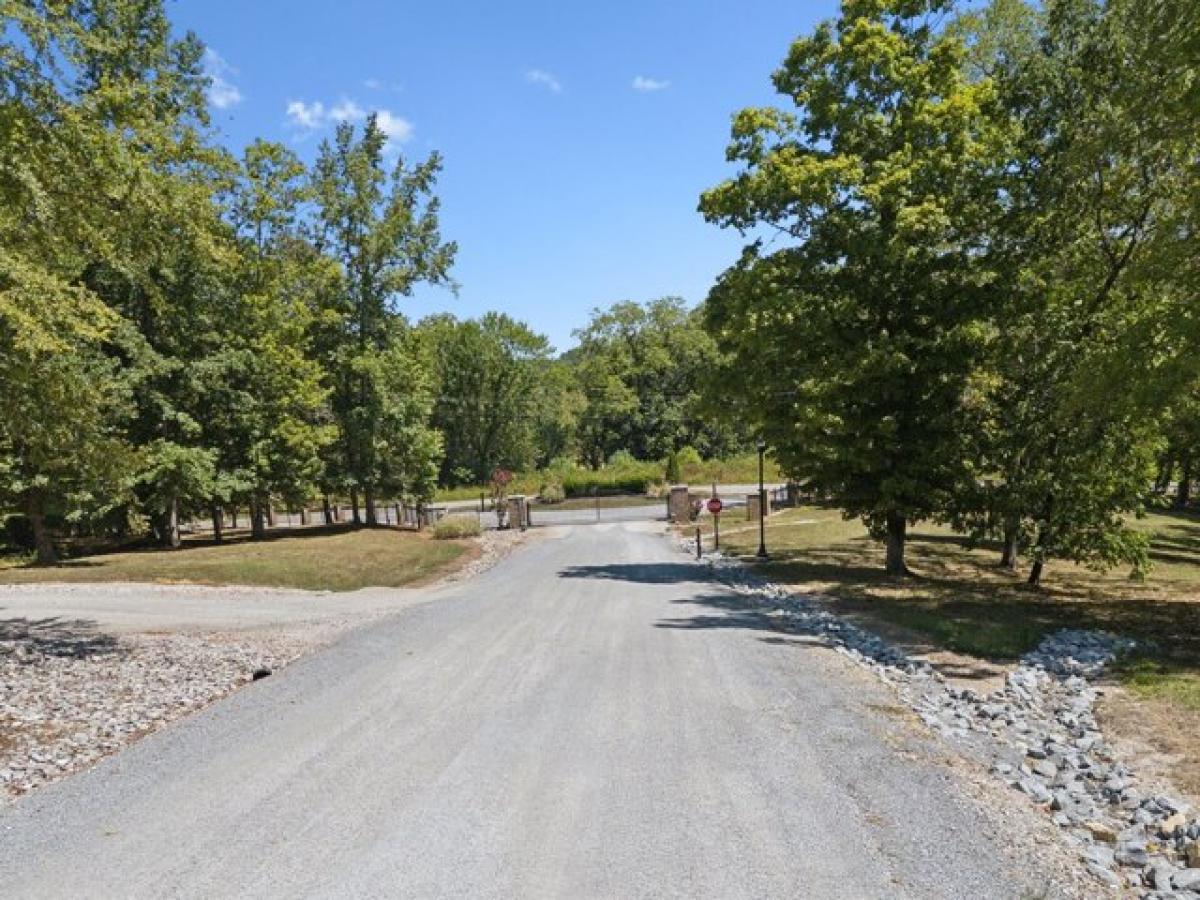 Picture of Residential Land For Sale in Hurricane Mills, Tennessee, United States