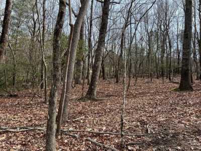 Residential Land For Sale in Jasper, Georgia