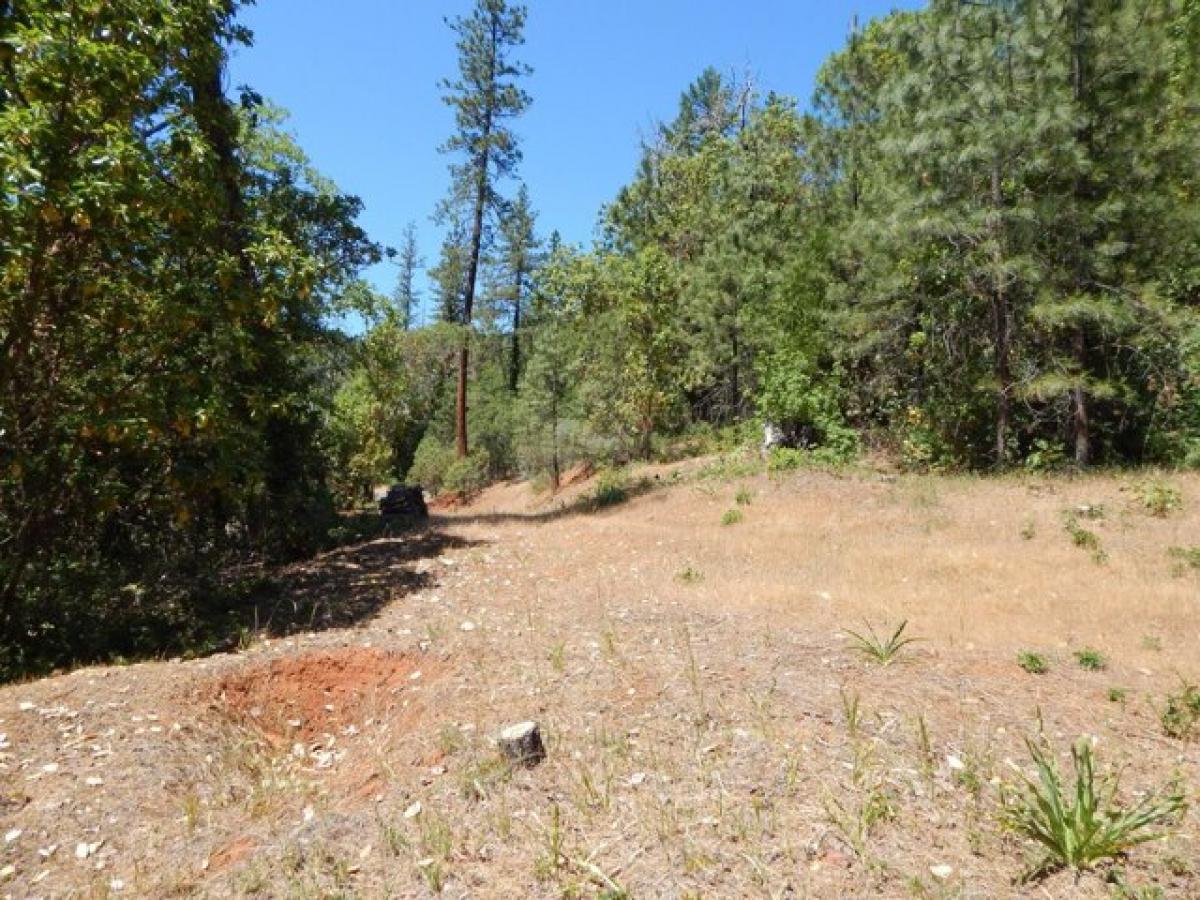 Picture of Residential Land For Sale in Grants Pass, Oregon, United States