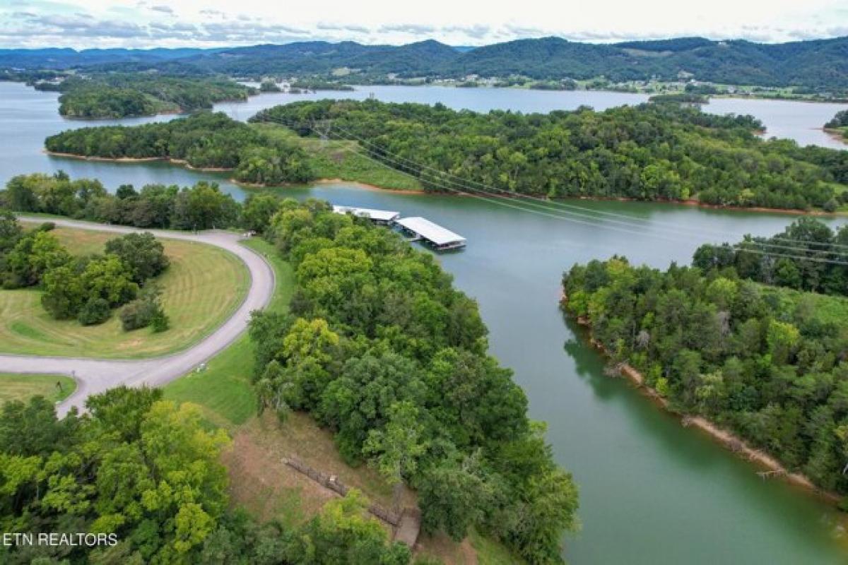 Picture of Residential Land For Sale in Russellville, Tennessee, United States