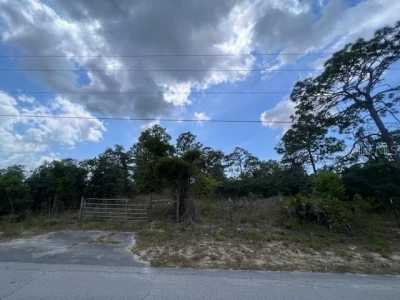 Residential Land For Sale in Spring Hill, Florida