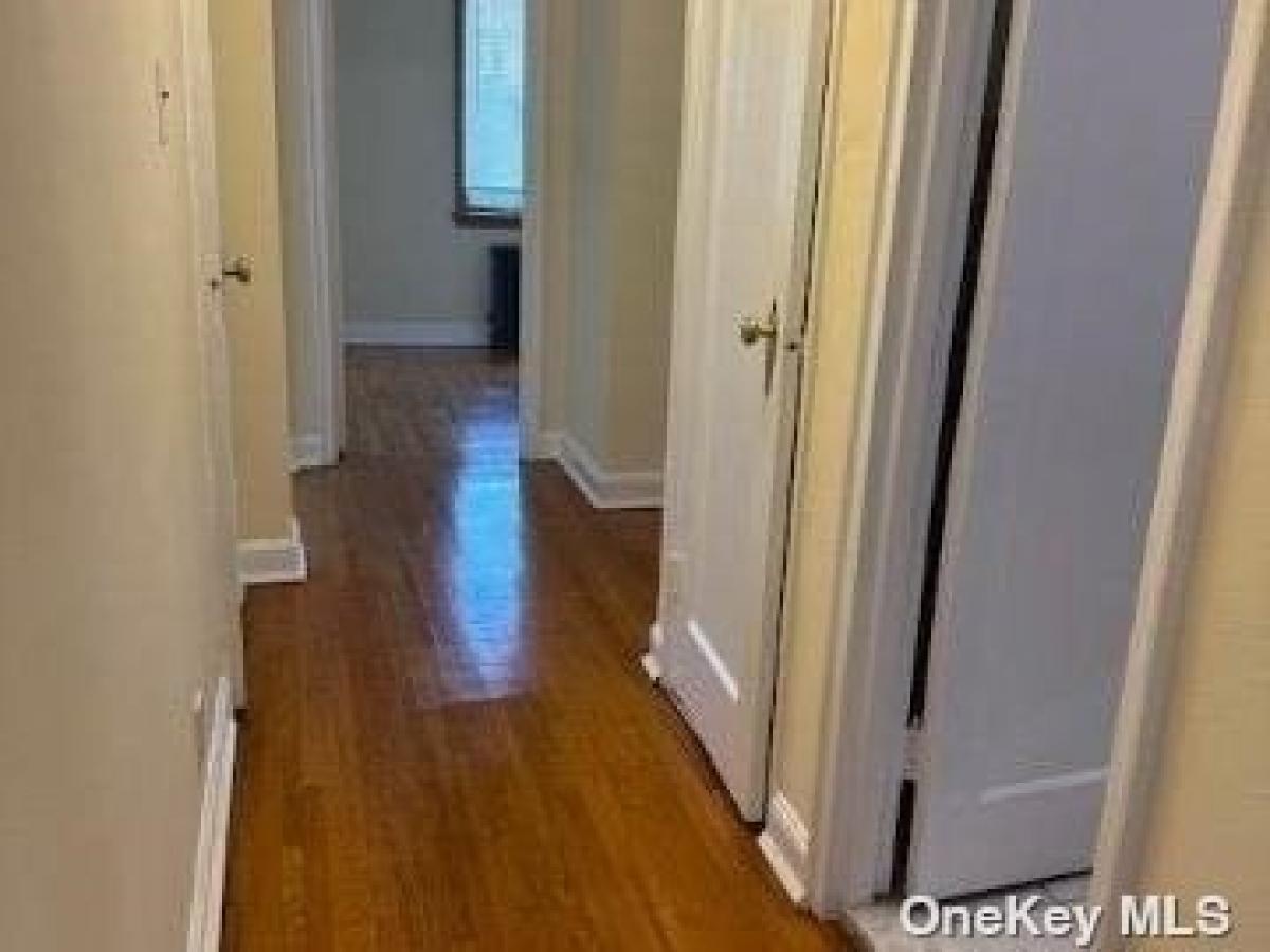 Picture of Apartment For Rent in Flushing, New York, United States