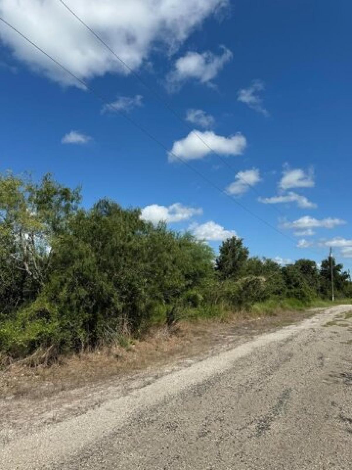 Picture of Residential Land For Sale in Skidmore, Texas, United States