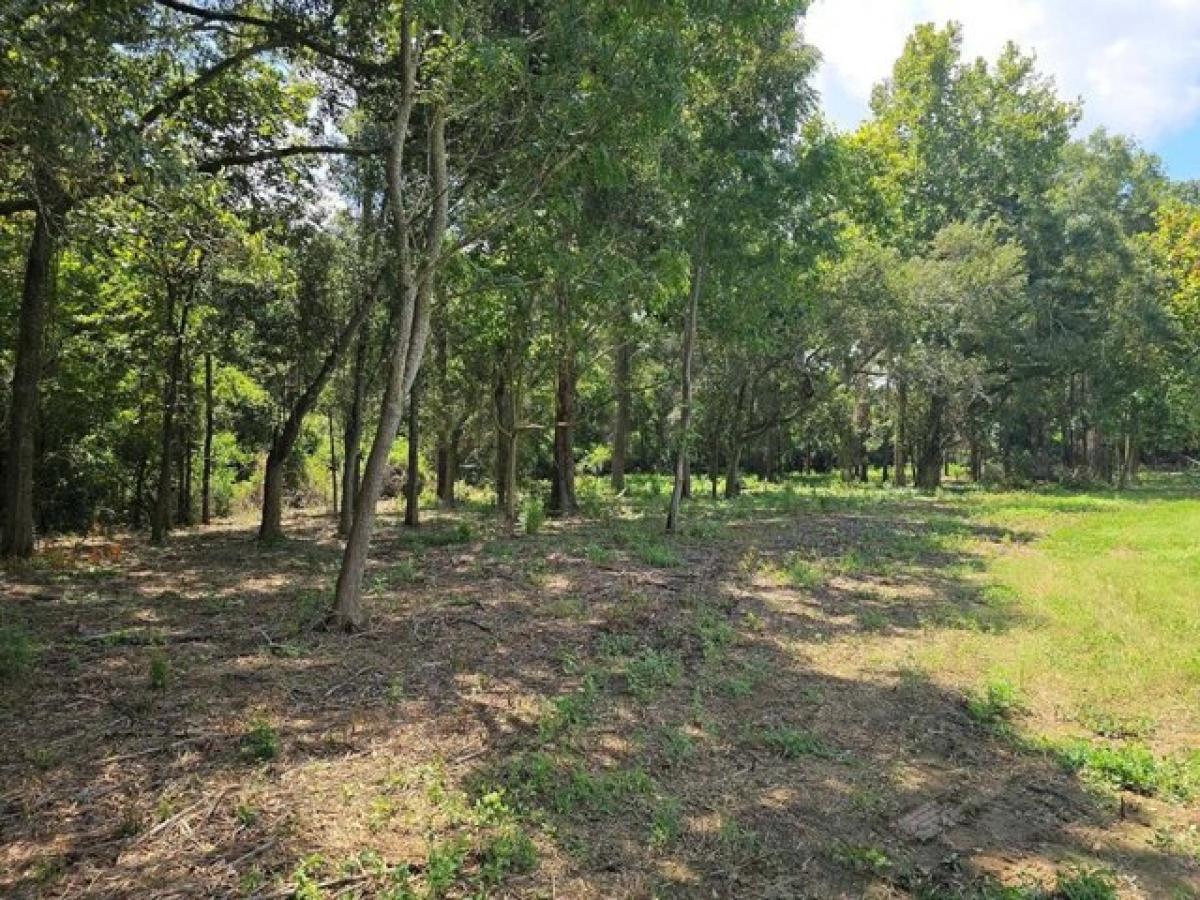 Picture of Residential Land For Sale in Slocomb, Alabama, United States