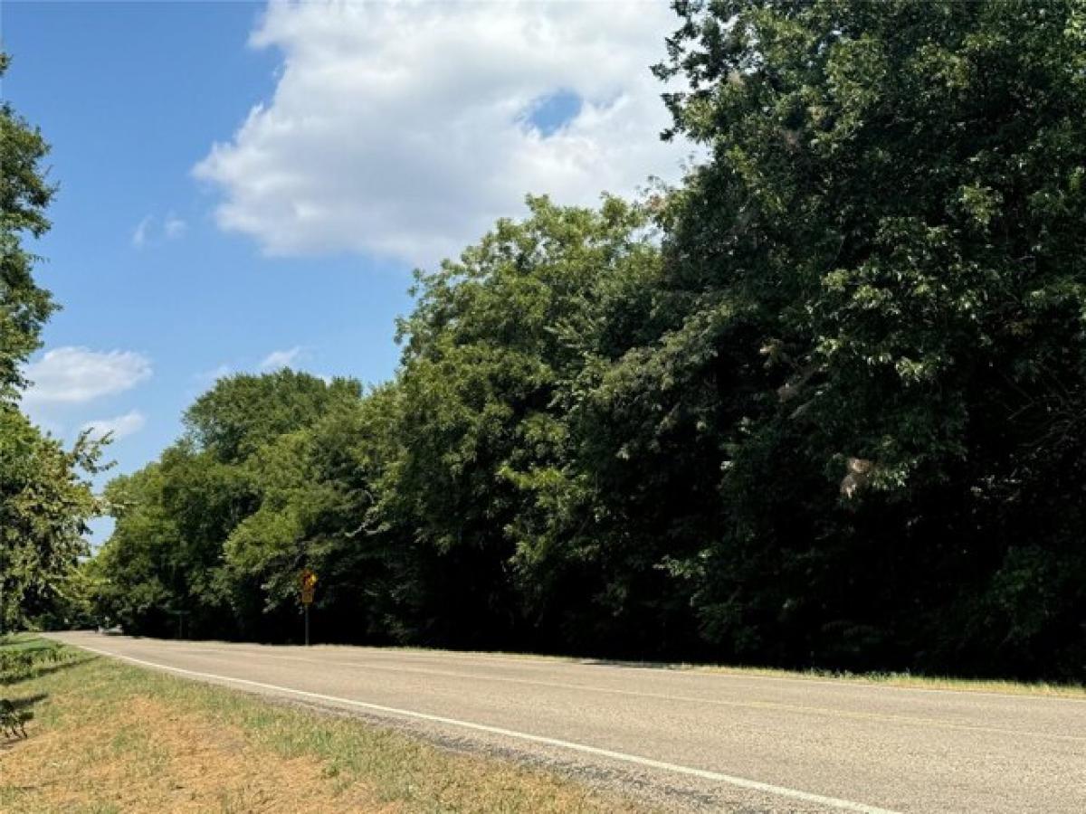 Picture of Residential Land For Sale in Whitewright, Texas, United States