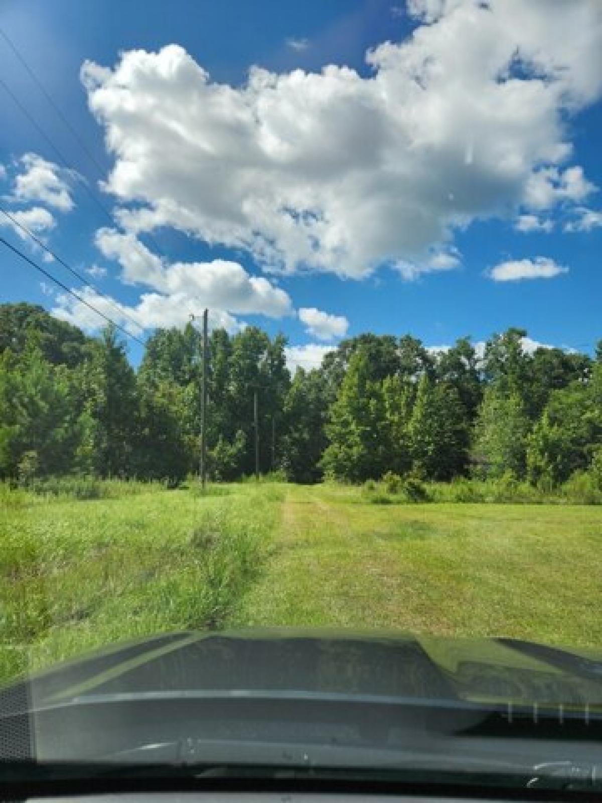 Picture of Residential Land For Sale in Lumber City, Georgia, United States