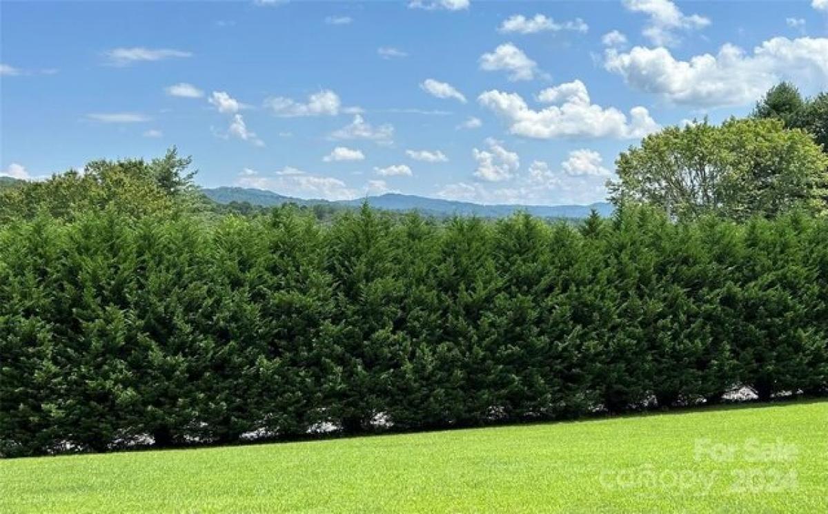 Picture of Home For Sale in Horse Shoe, North Carolina, United States