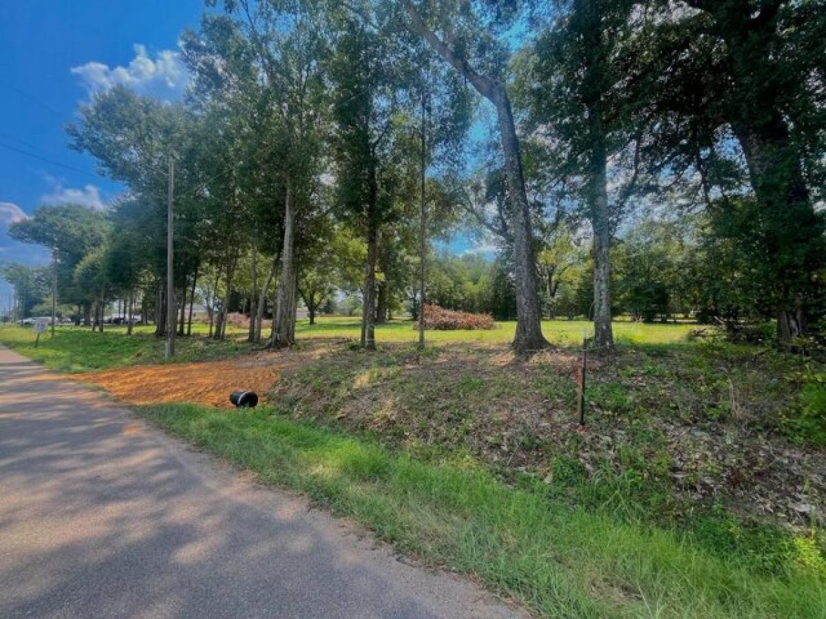 Picture of Residential Land For Sale in Richton, Mississippi, United States