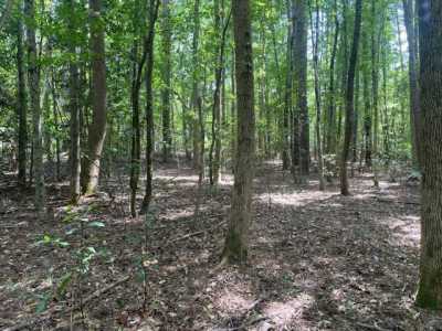 Residential Land For Sale in 