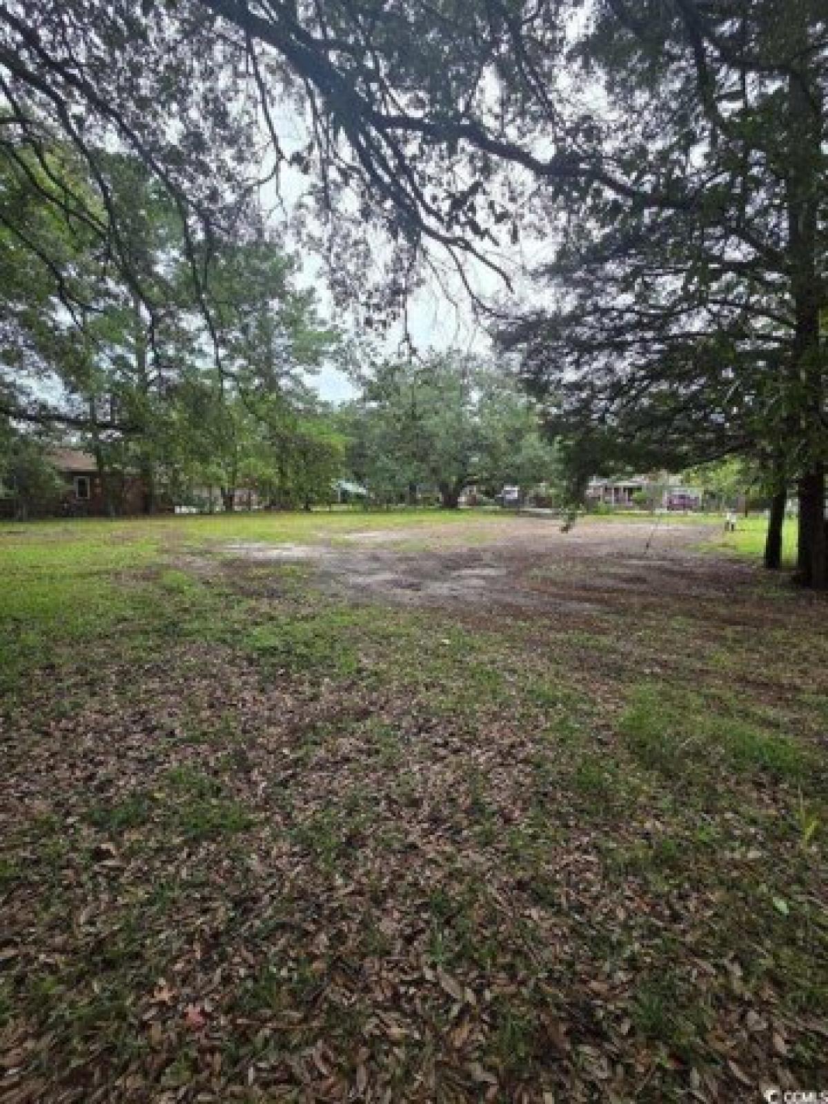 Picture of Residential Land For Sale in Conway, South Carolina, United States