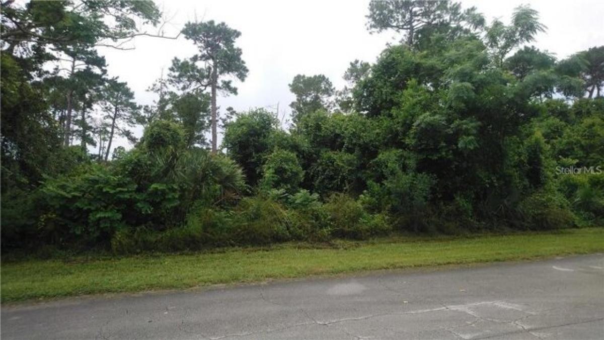 Picture of Residential Land For Sale in Deltona, Florida, United States