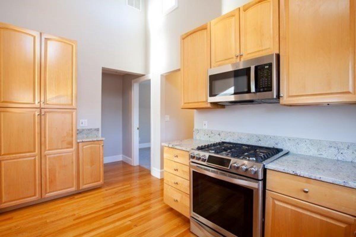 Picture of Apartment For Rent in Arlington, Massachusetts, United States