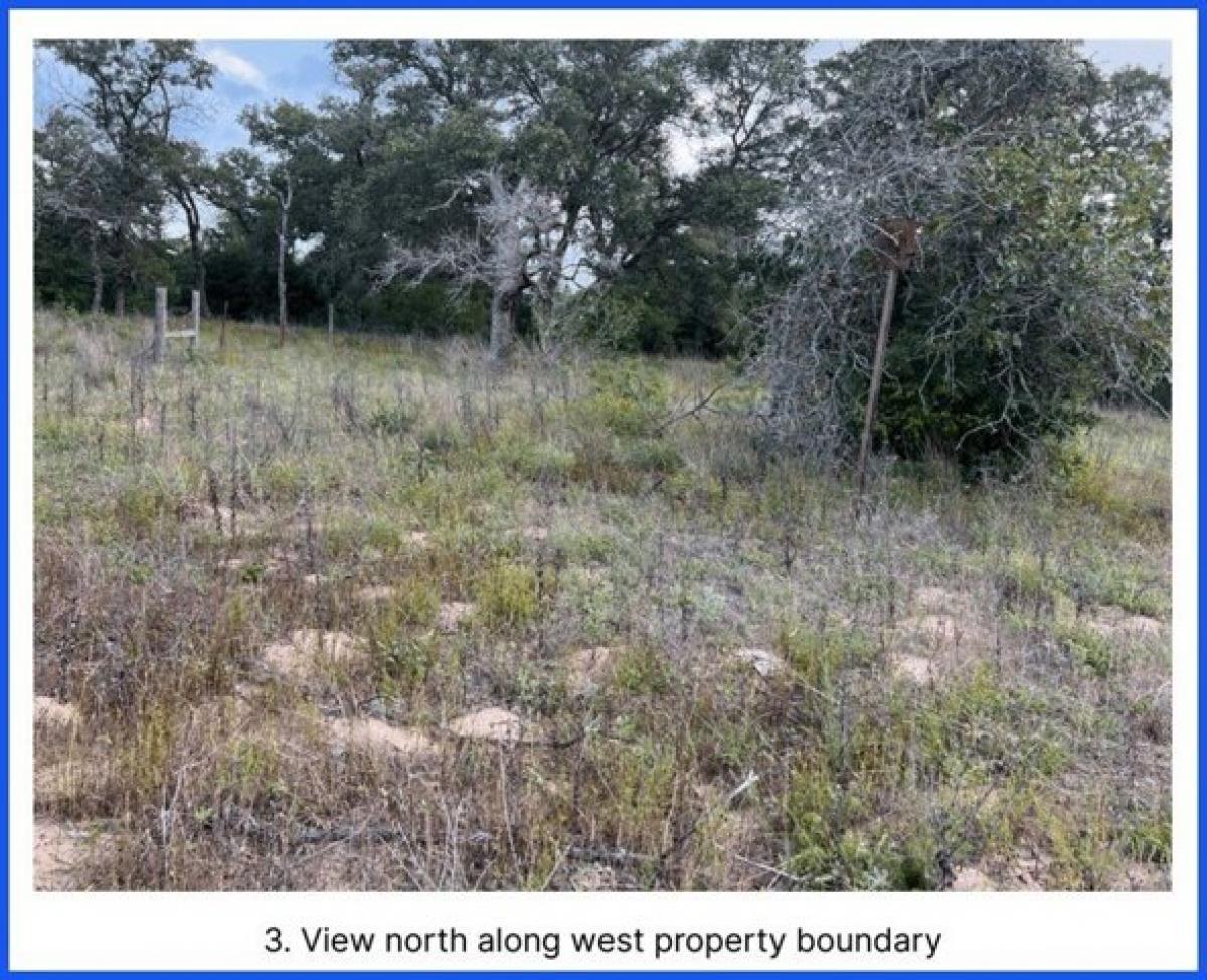 Picture of Residential Land For Sale in Seguin, Texas, United States