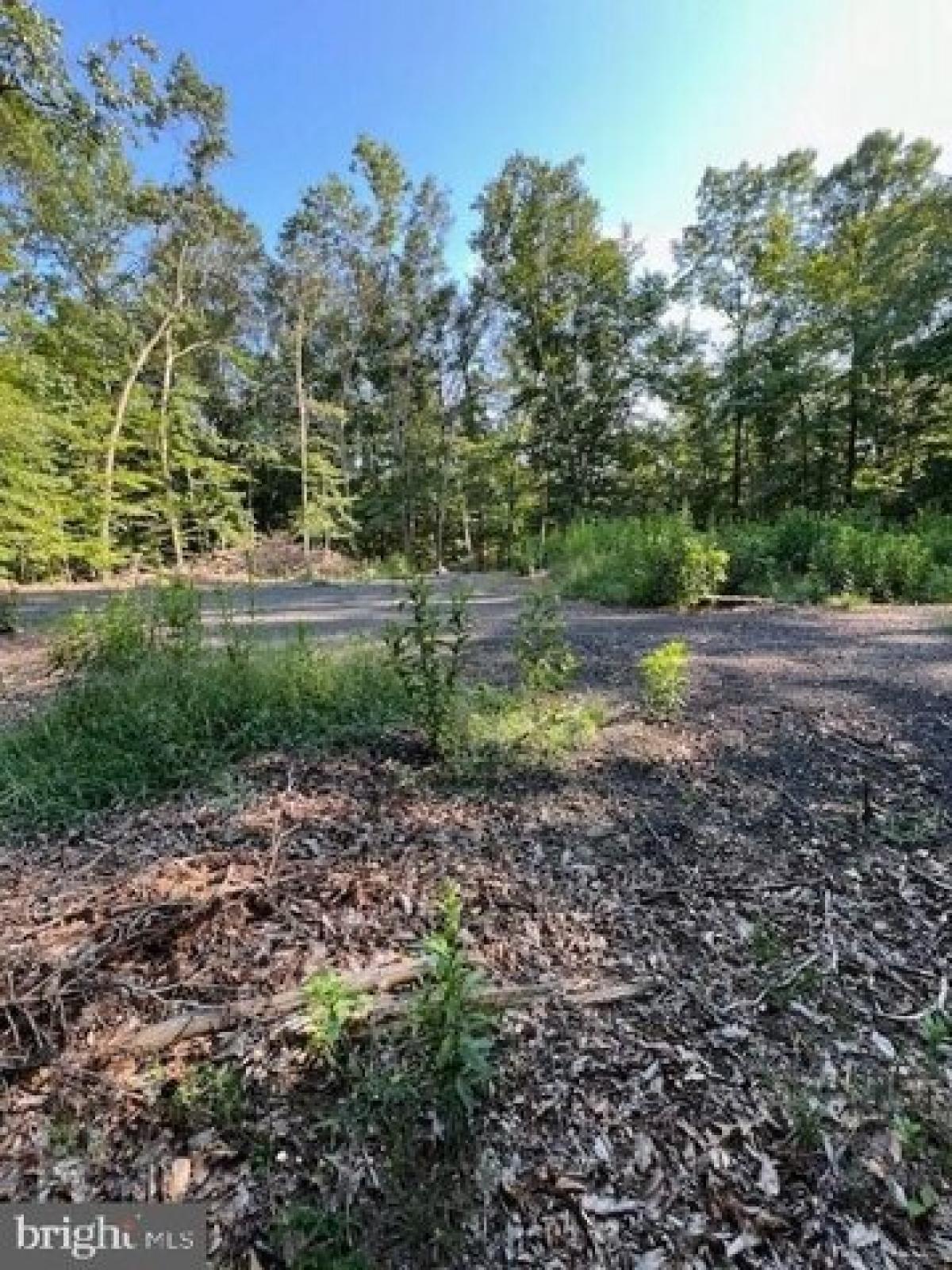 Picture of Residential Land For Sale in Bowie, Maryland, United States