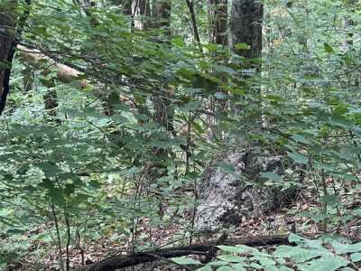 Residential Land For Sale in Waynesville, North Carolina