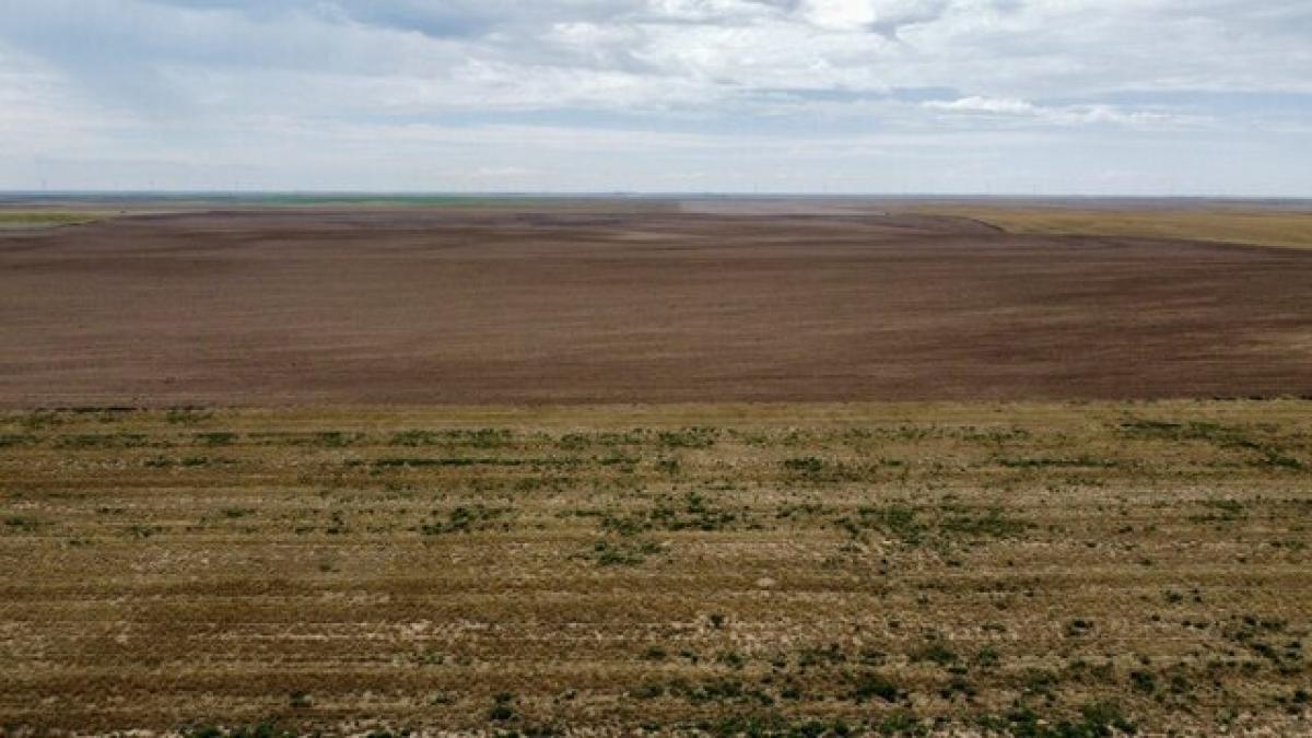 Picture of Residential Land For Sale in Genoa, Colorado, United States