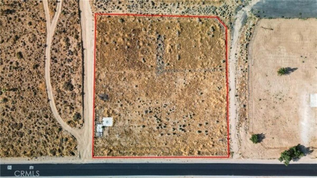 Picture of Residential Land For Sale in Phelan, California, United States