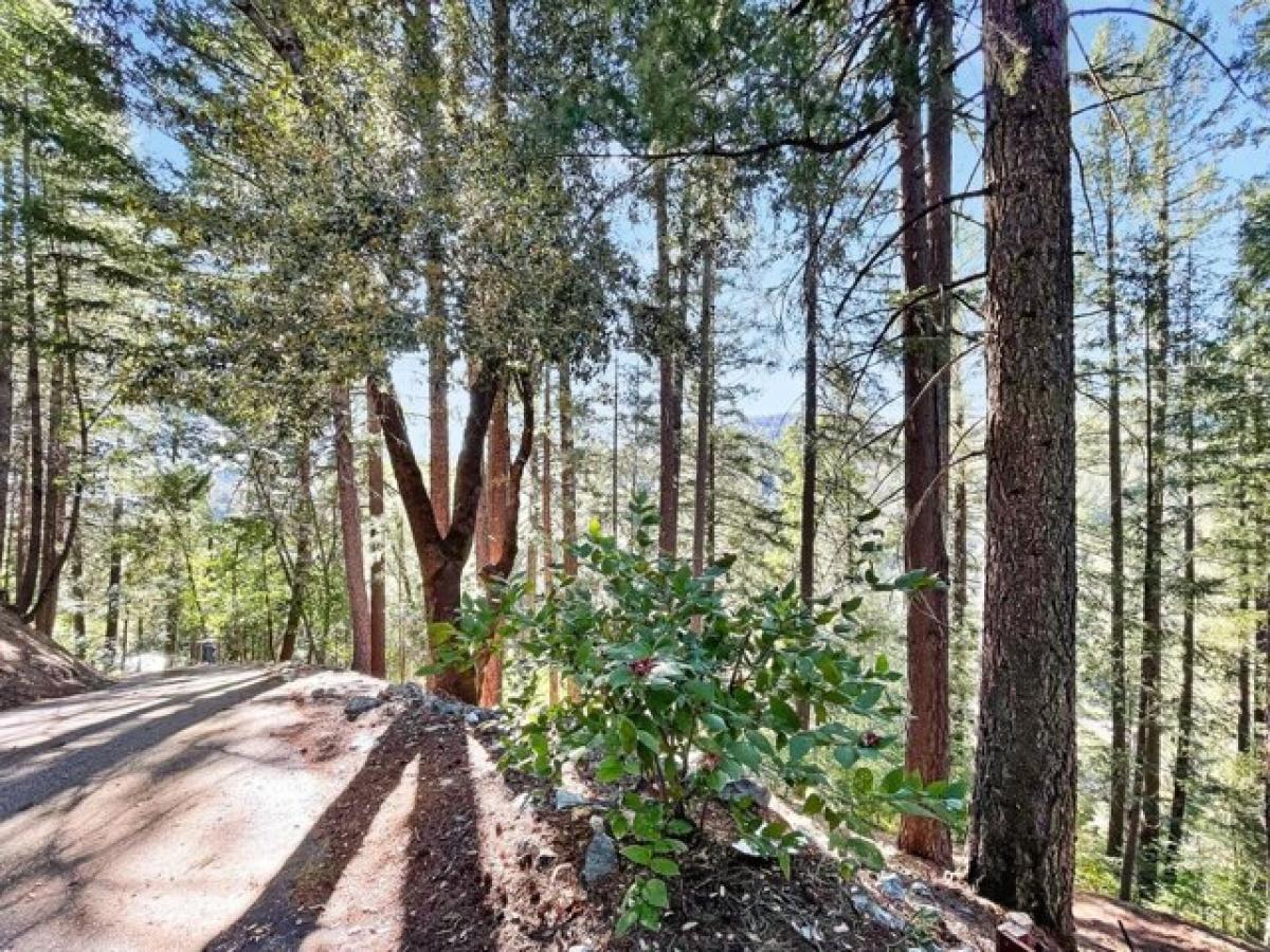 Picture of Home For Sale in Nevada City, California, United States