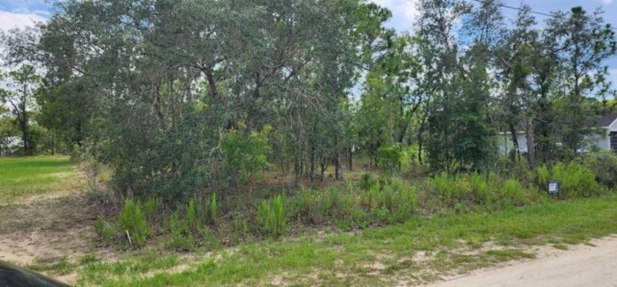 Picture of Residential Land For Sale in Brooksville, Florida, United States