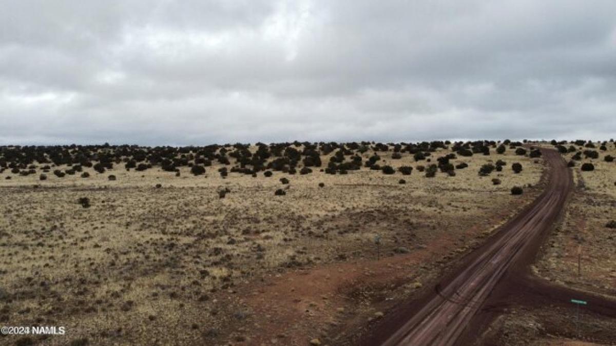 Picture of Residential Land For Sale in Williams, Arizona, United States