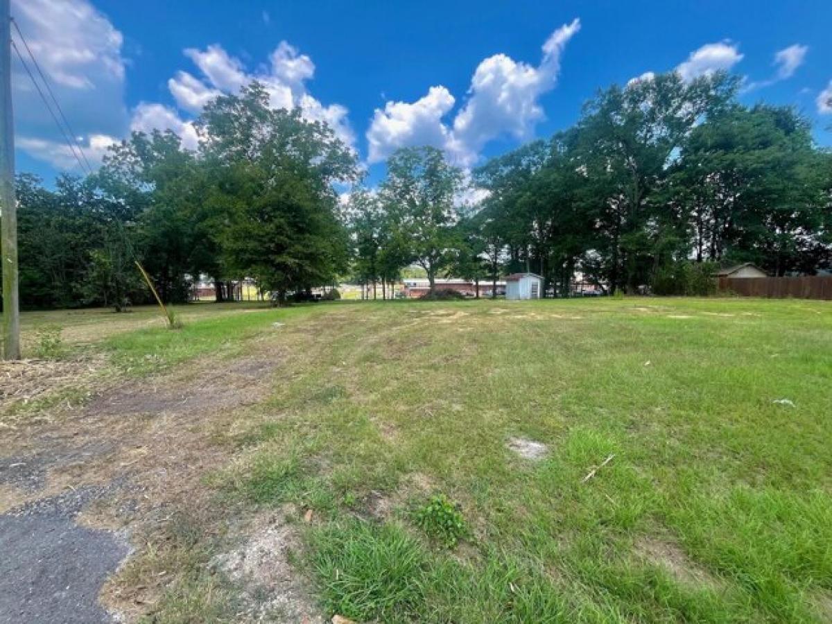 Picture of Residential Land For Sale in Richton, Mississippi, United States