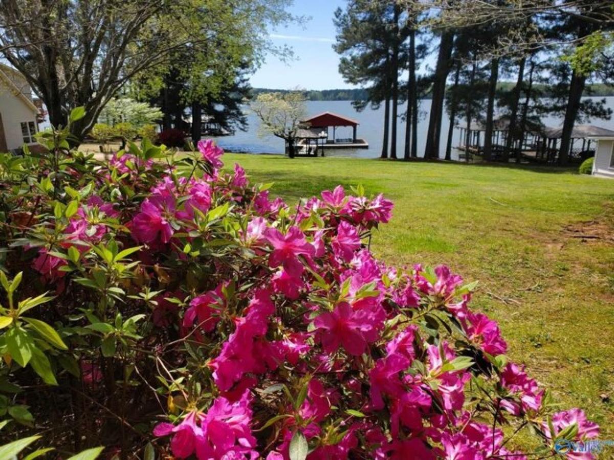 Picture of Home For Sale in Rogersville, Alabama, United States