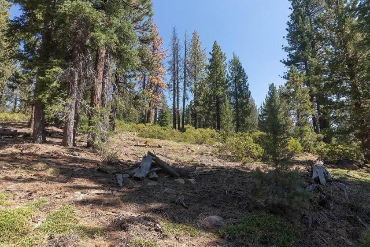 Picture of Residential Land For Sale in Loyalton, California, United States