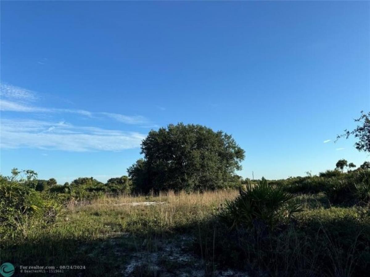 Picture of Residential Land For Sale in Okeechobee, Florida, United States