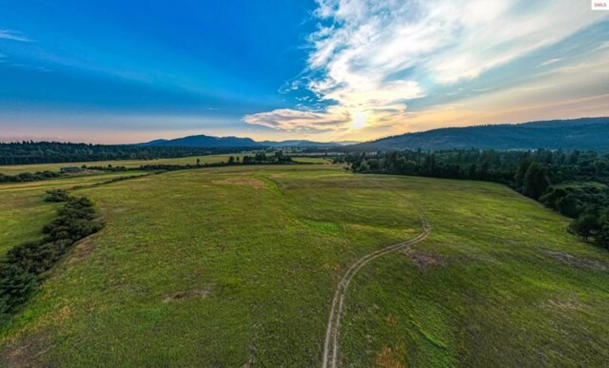 Picture of Residential Land For Sale in Priest River, Idaho, United States