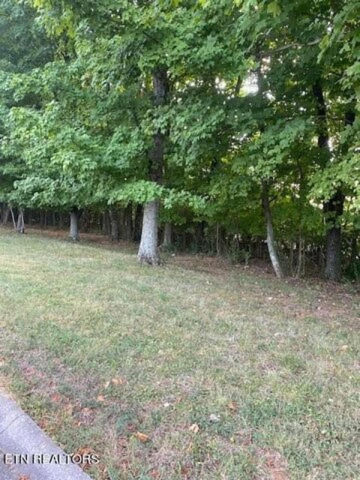 Picture of Residential Land For Sale in Loudon, Tennessee, United States