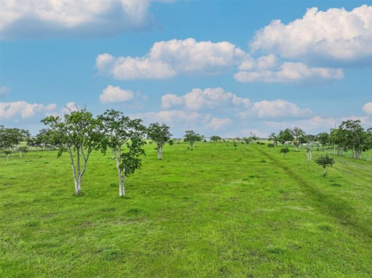 Picture of Residential Land For Sale in Dickinson, Texas, United States