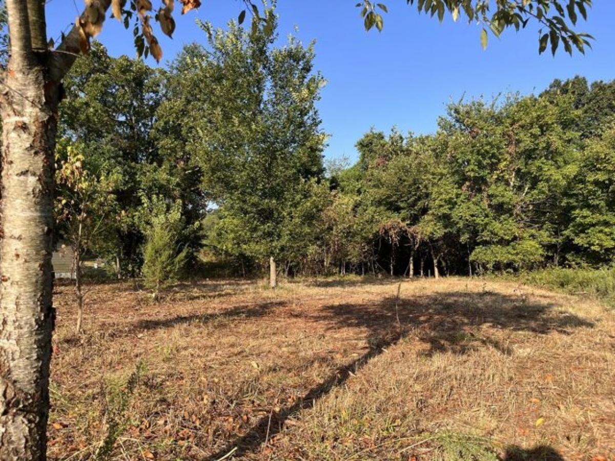 Picture of Residential Land For Sale in Neosho, Missouri, United States