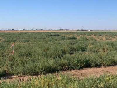 Residential Land For Sale in Bushland, Texas