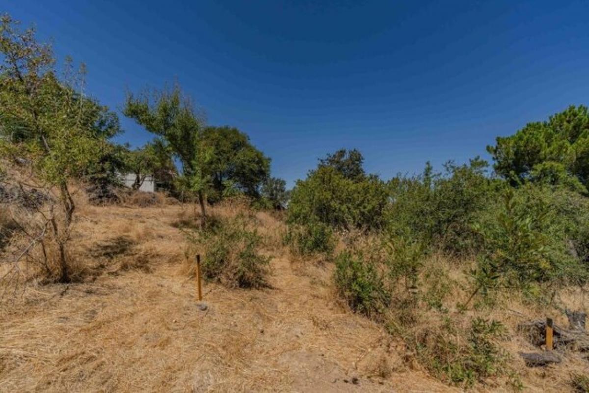 Picture of Residential Land For Sale in Mokelumne Hill, California, United States