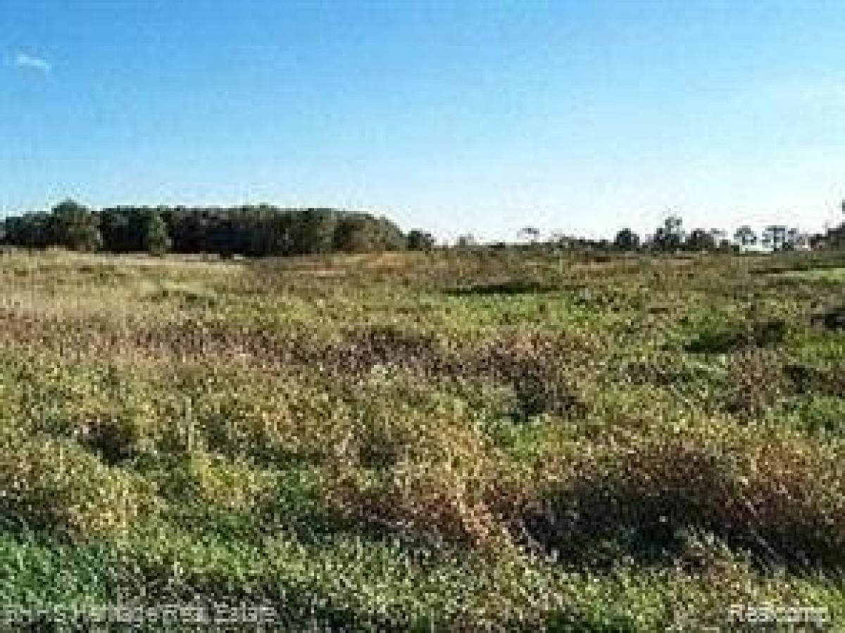 Picture of Residential Land For Sale in Conway, Michigan, United States