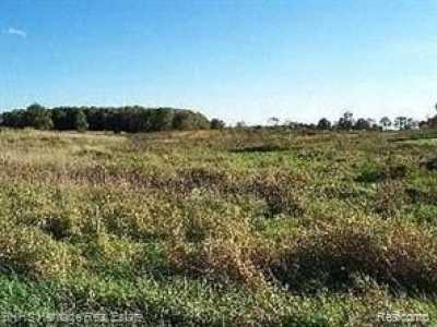 Residential Land For Sale in Conway, Michigan